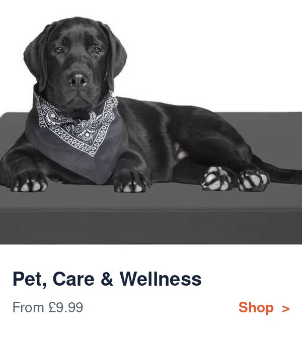 Dog beds and care cushions from £9.99